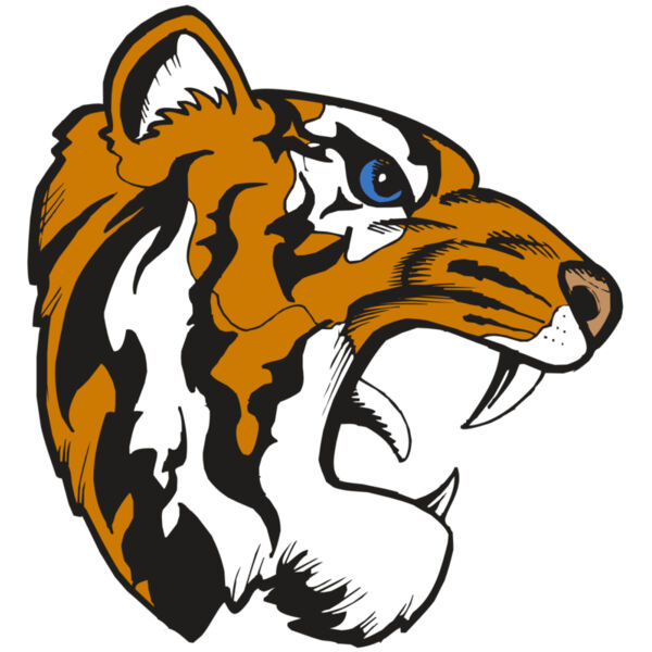 BAW TIGER 08 RC Thumbnail