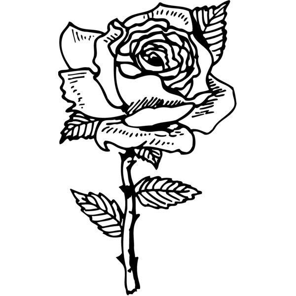 FLOWER04 Thumbnail