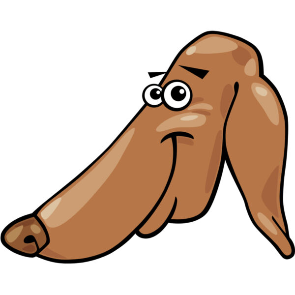 Dog Head 38 Thumbnail