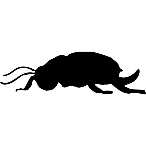 Bug Silhouette 12 Thumbnail