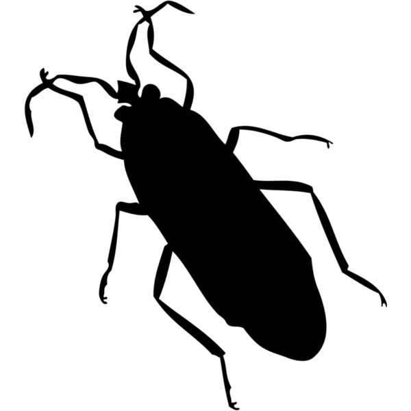 Cockroach Silhouette 5 Thumbnail