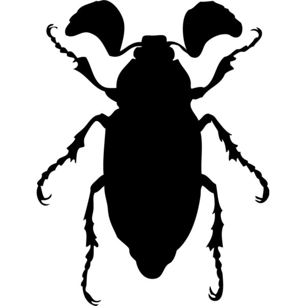 Bug Silhouette 4 Thumbnail