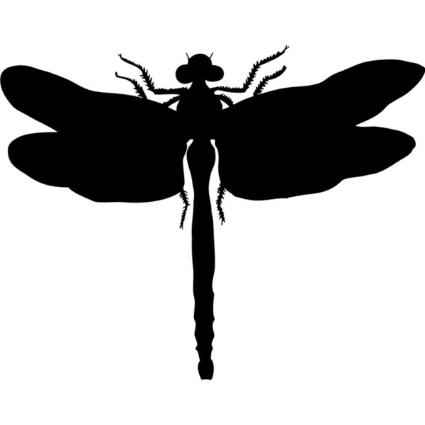Dragonfly Silhouette 2 Thumbnail