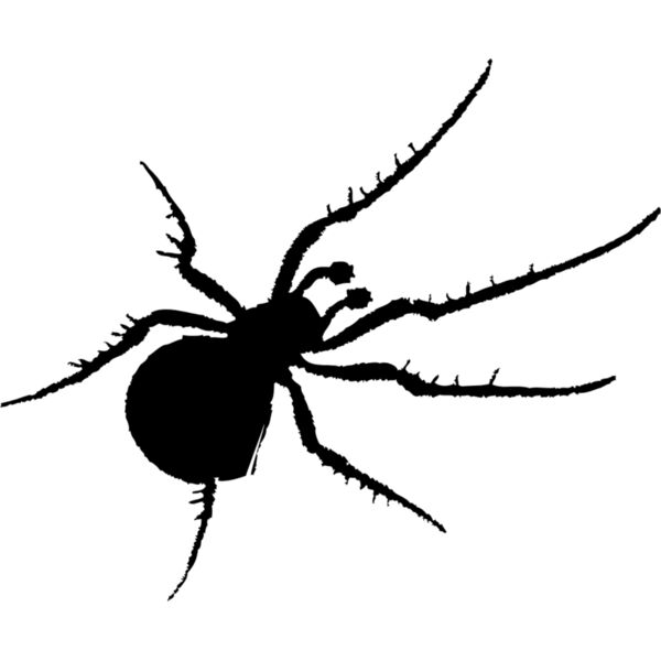 Spider Silhouette 15 Thumbnail