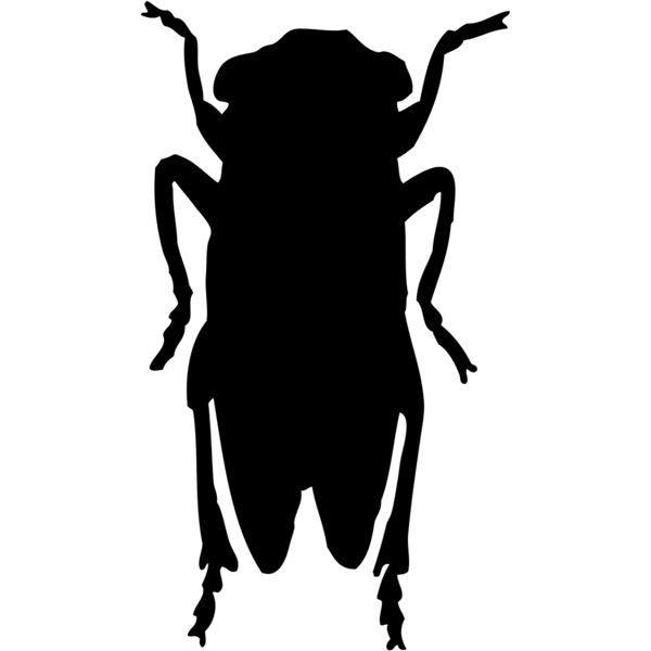 Fly Silhouette 1 Thumbnail