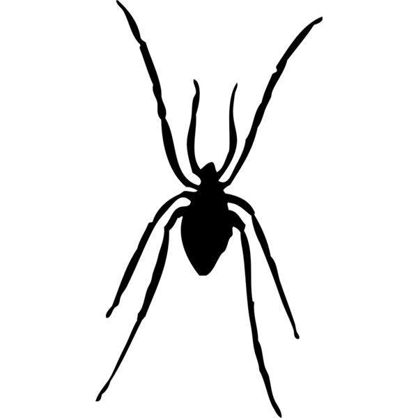 Spider Silhouette 17 Thumbnail