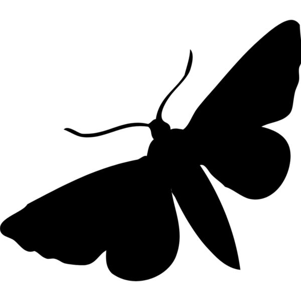 Moth Silhouette 1 Thumbnail