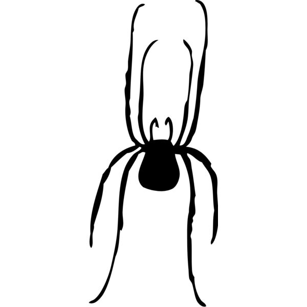 Spider Silhouette 3 Thumbnail