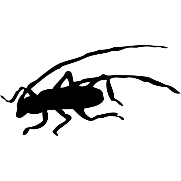 Bug Silhouette 16 Thumbnail