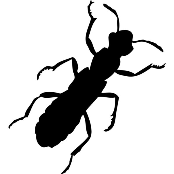Ant Silhouette 1 Thumbnail