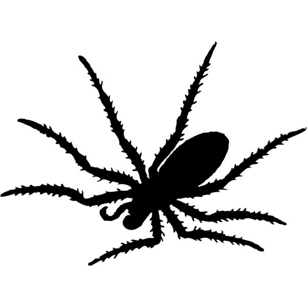 Spider Silhouette 19 Thumbnail