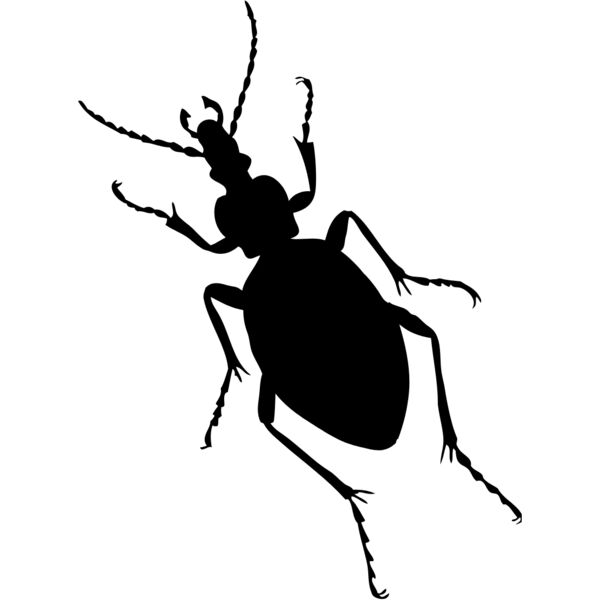 Bug Silhouette 3 Thumbnail