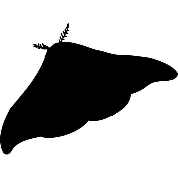 Moth Silhouette 2 Thumbnail