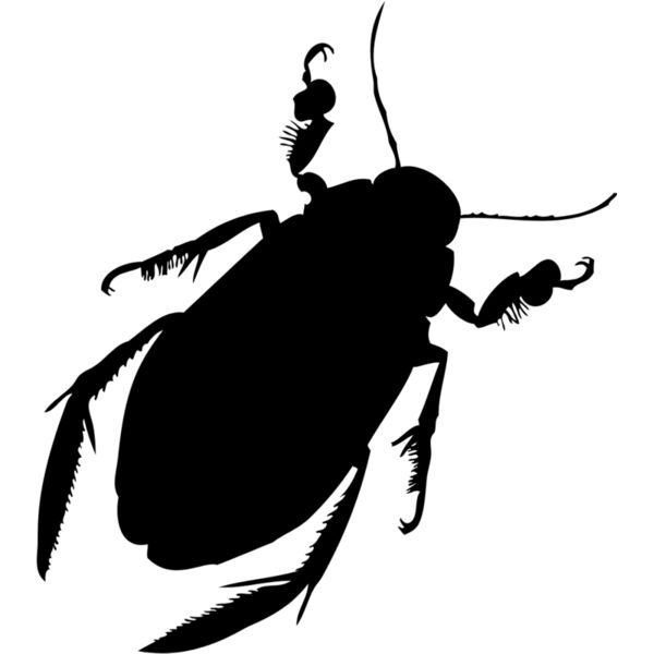 Cockroach Silhouette 6 Thumbnail