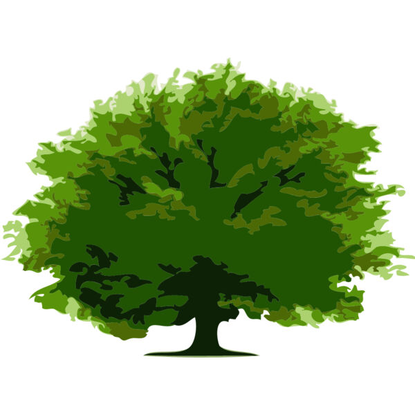 Tree 16 Thumbnail