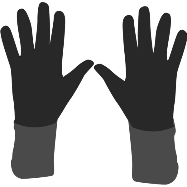 Gloves 1 Thumbnail