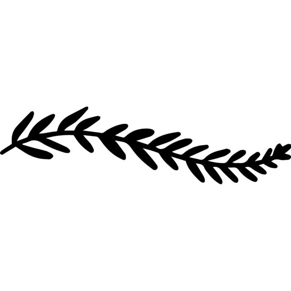 Floral Divider 13 Thumbnail