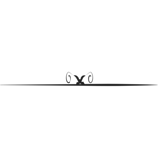 Fancy Divider 35 Thumbnail