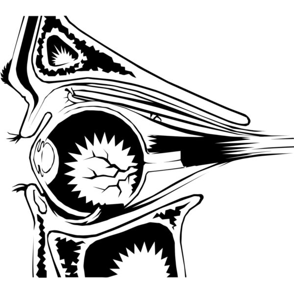 Eye 100 Thumbnail